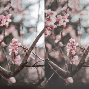Soft Spring - presety do Lightrooma